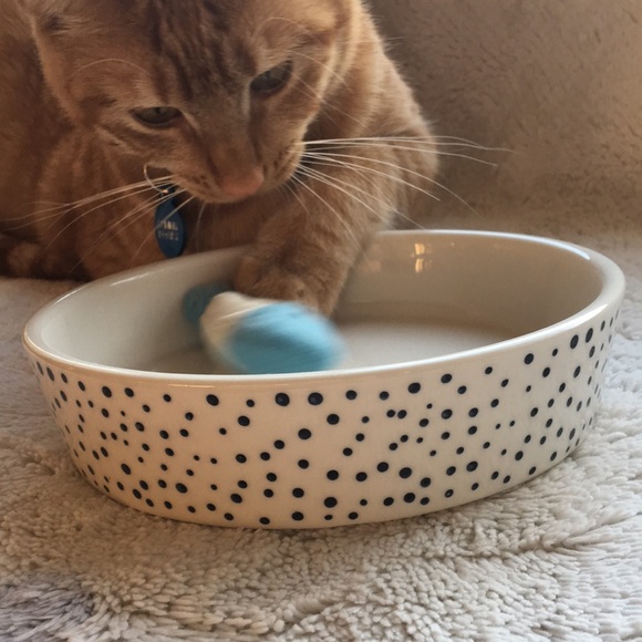 Target Dog Boots Barkley Stoneware Pet Bowl Nwt Black Dots Poshmark